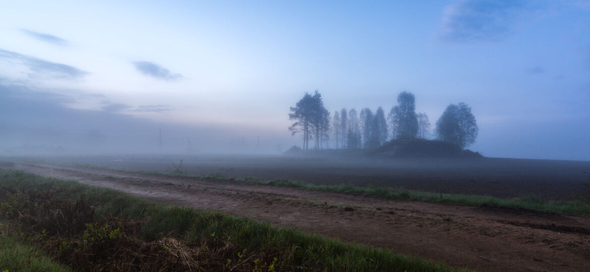 Beautiful mist night in countryside