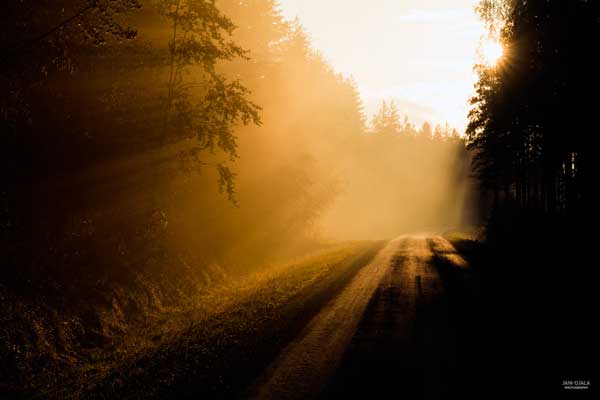 Misty road